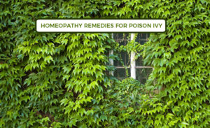 Homeopathy Remedies For Poison Ivy
