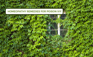 Homeopathy Remedies For Poison Ivy