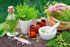 Exploring Effective Homeopathic Medicines for Acidity
